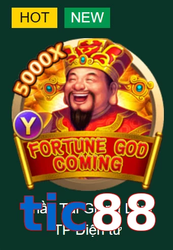 tic88